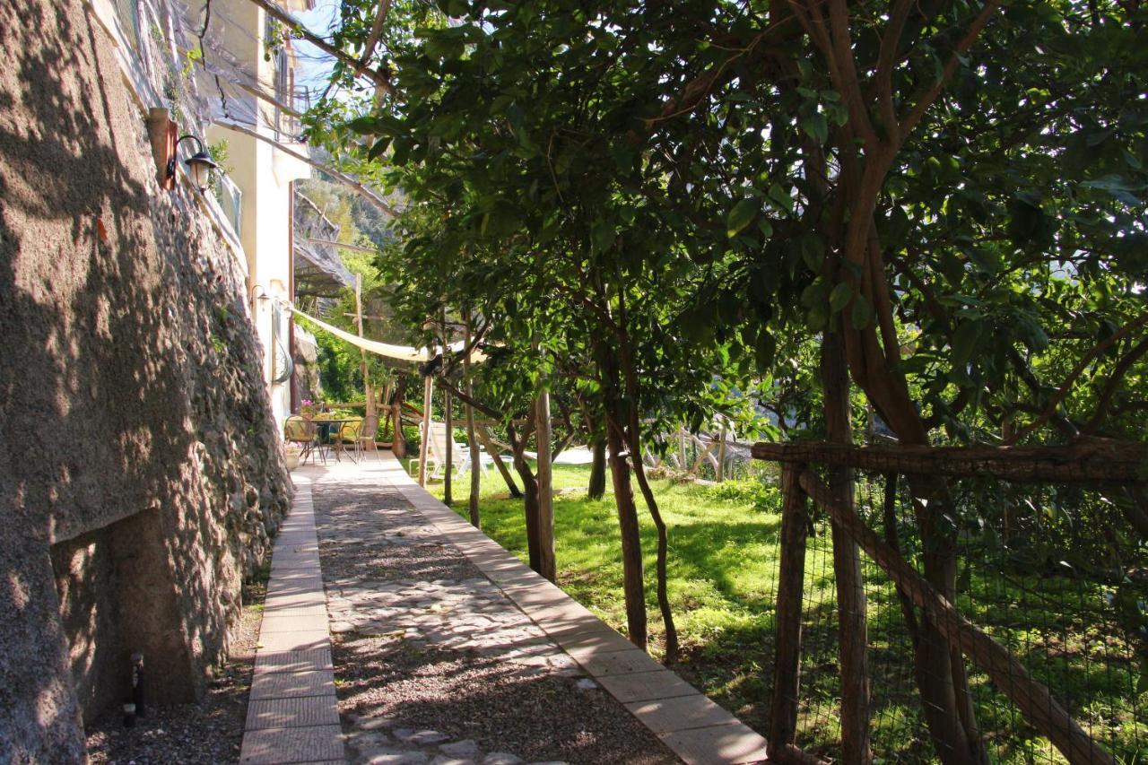 Casa Ortensia 米诺利 外观 照片